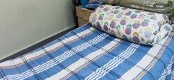 Blk 540 Hougang Avenue 8 (Hougang), HDB 4 Rooms #585517481